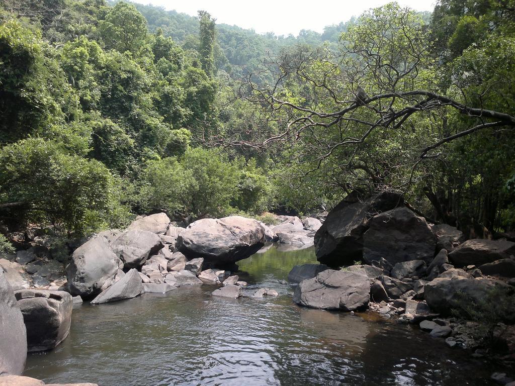 Cormonem Dudhsagar Plantation 빌라 외부 사진