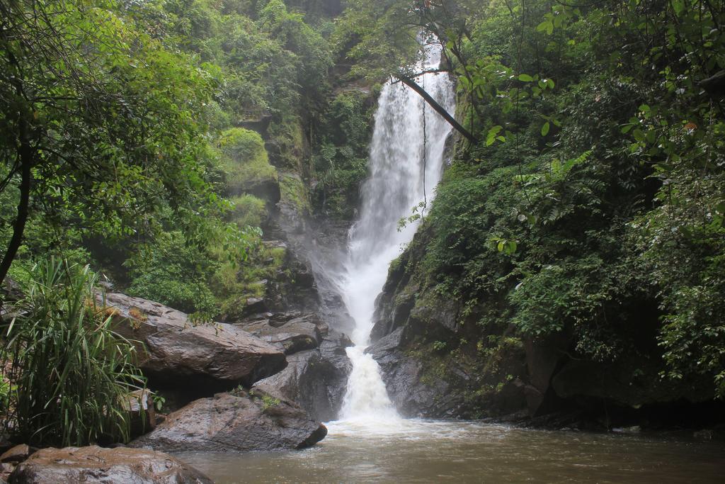 Cormonem Dudhsagar Plantation 빌라 외부 사진