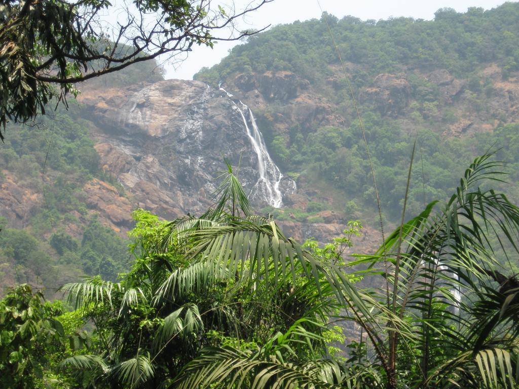 Cormonem Dudhsagar Plantation 빌라 외부 사진