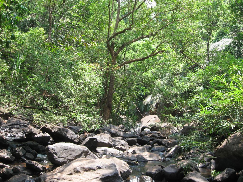 Cormonem Dudhsagar Plantation 빌라 외부 사진