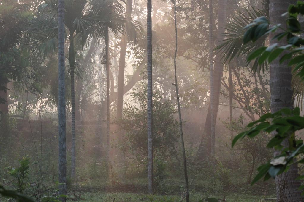 Cormonem Dudhsagar Plantation 빌라 외부 사진