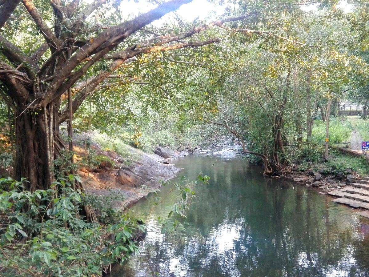 Cormonem Dudhsagar Plantation 빌라 외부 사진